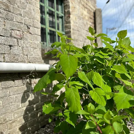 La Maison D'anissa-plage A 20min-wifi-parking