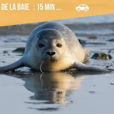 La Maison D'anissa-plage A 20min-wifi-parking Holiday home