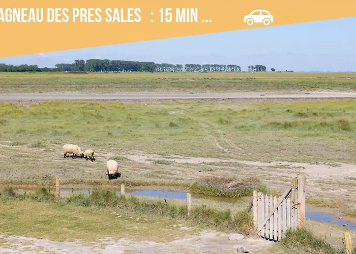 Hébergement de vacances La Maison D'anissa